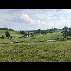 Meet your Posher, Sib!